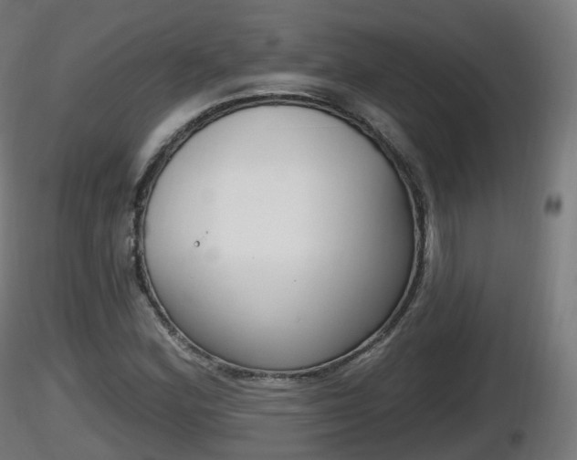 X0000116831164200912241220
