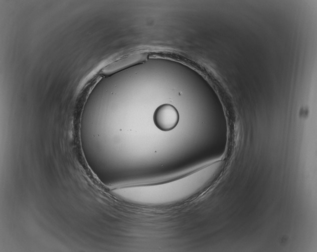 X0000116831165200912241220