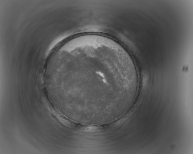 X0000116831166200912241220