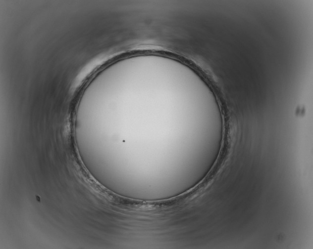 X0000116831167200912241220