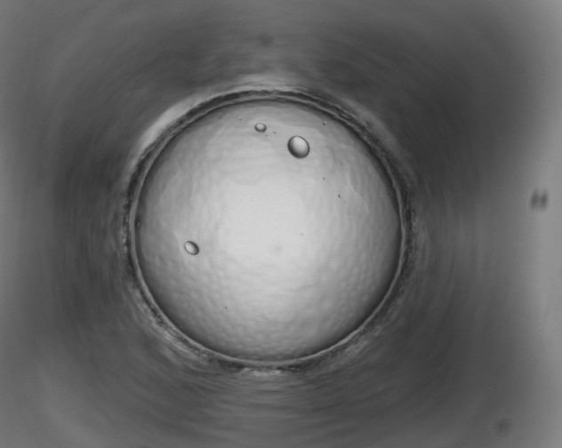 X0000116831168200912241220