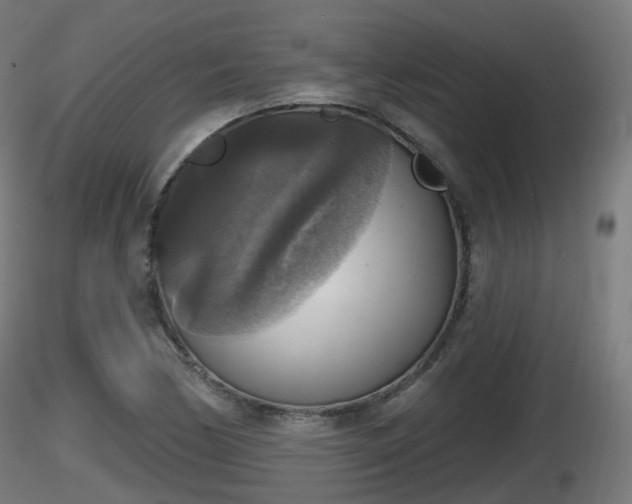 X0000116831170200912241220