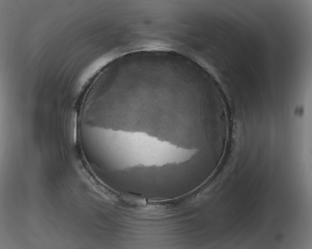 X0000116831171200912241220