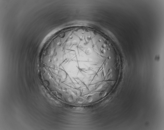 X0000116831172200912241220