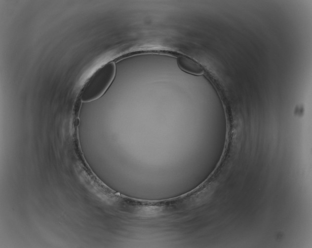 X0000116831173200912241220