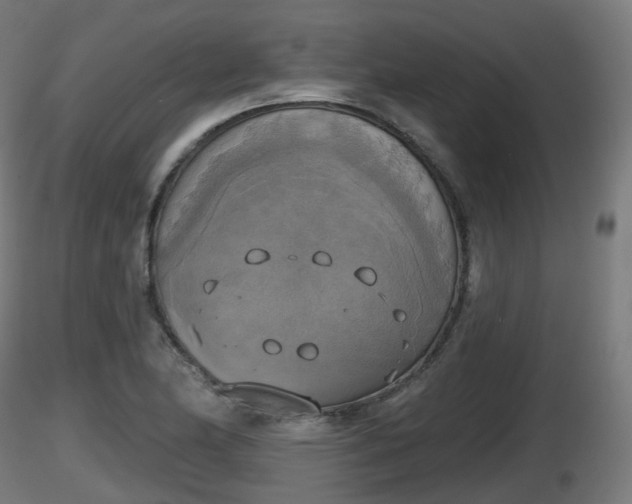 X0000116831174200912241220