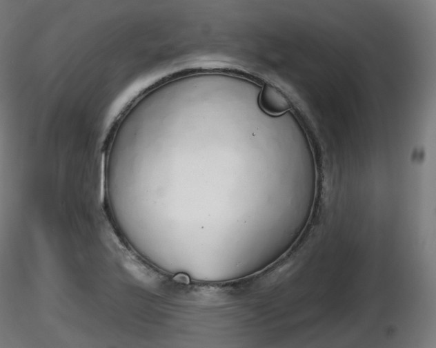 X0000116831175200912241220