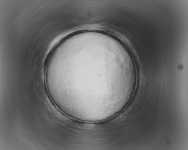 X0000116831176200912241220