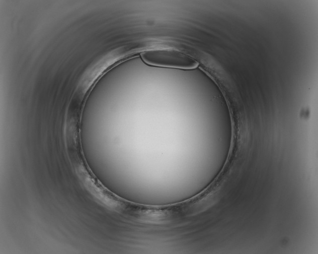 X0000116831177200912241220