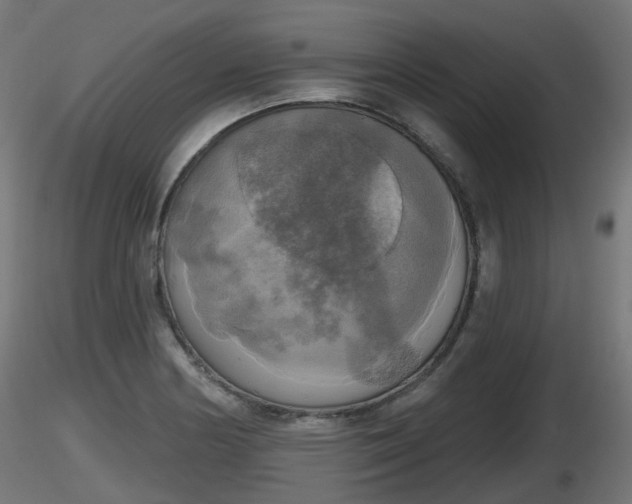 X0000116831178200912241220