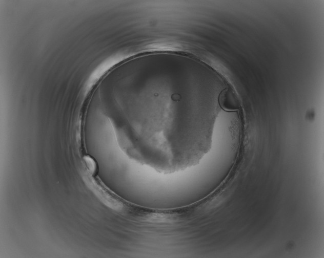 X0000116831179200912241220