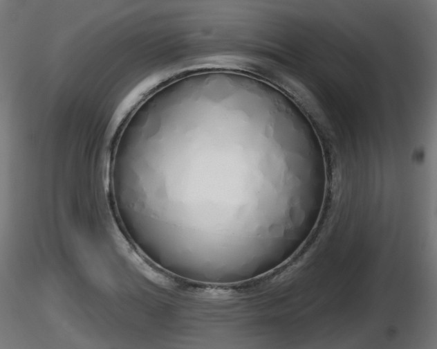 X0000116831180200912241220