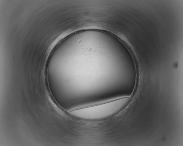 X0000116831181200912241220