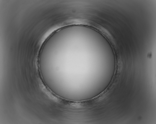 X0000116831182200912241220