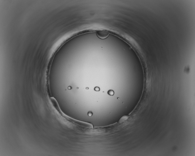X0000116831183200912241220