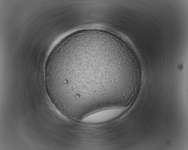 X0000116831184200912241220