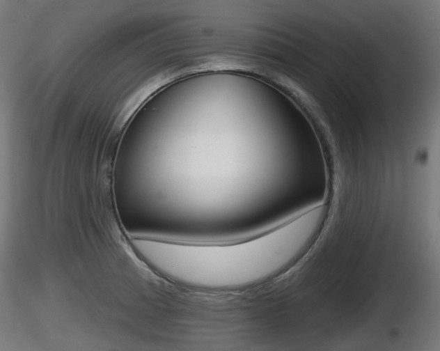 X0000116831185200912241220