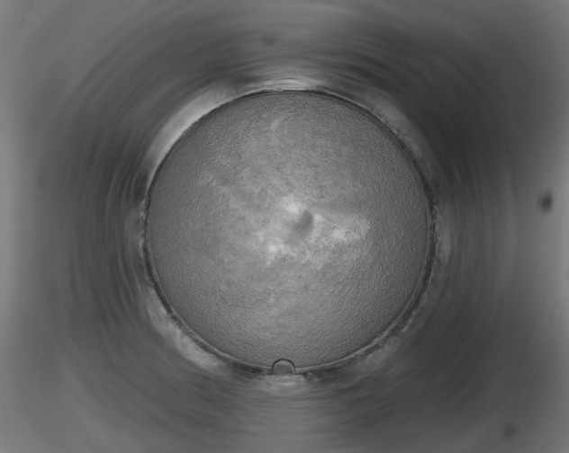 X0000116831186200912241220