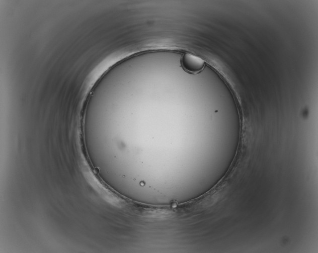 X0000116831187200912241220