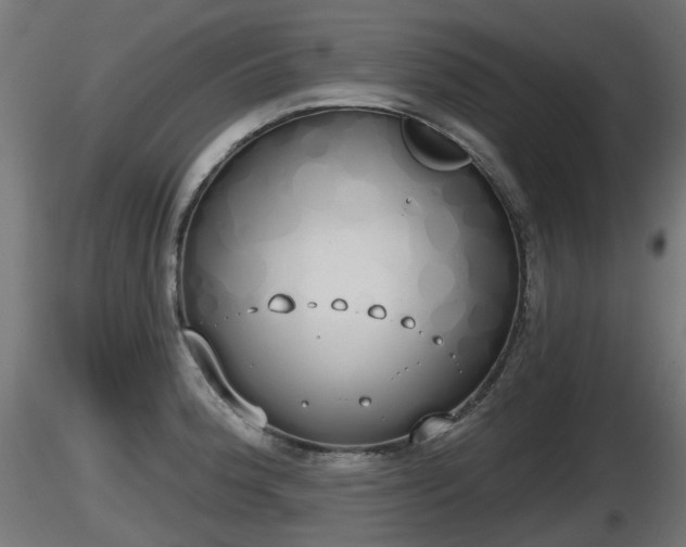 X0000116831188200912241220