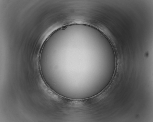 X0000116831190200912241220