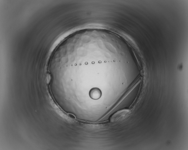 X0000116831192200912241220
