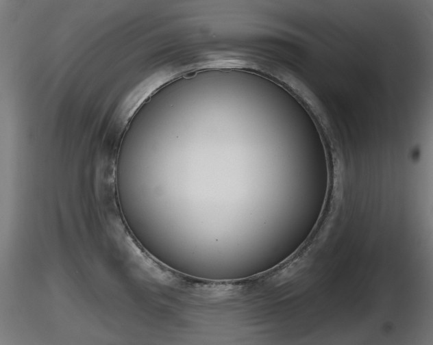 X0000116831193200912241220