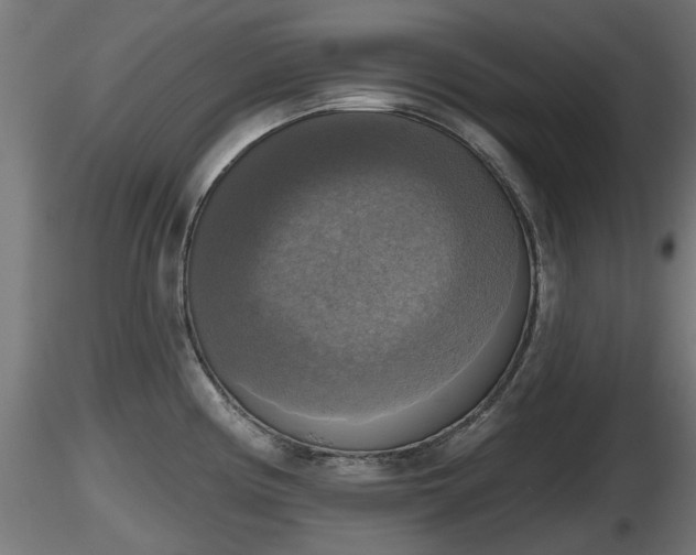 X0000116831194200912241220