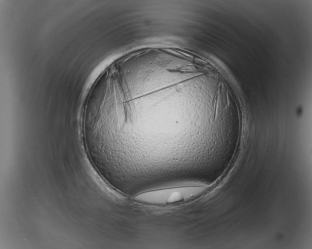 X0000116831196200912241220