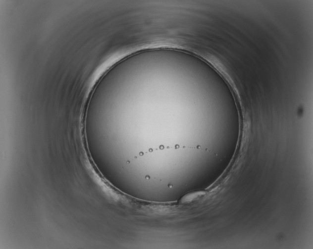 X0000116831197200912241220