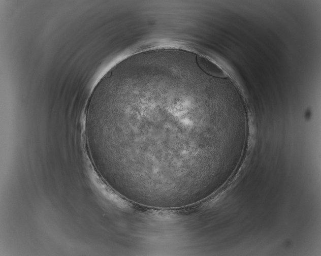 X0000116831198200912241220