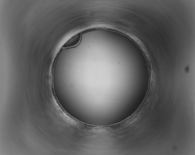 X0000116831199200912241220
