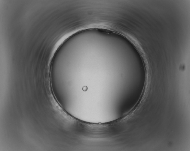 X0000116831200200912241220