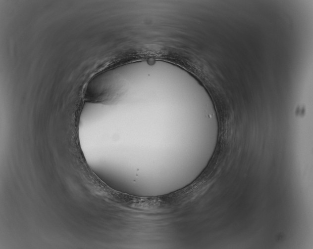 X0000116831201200912241219