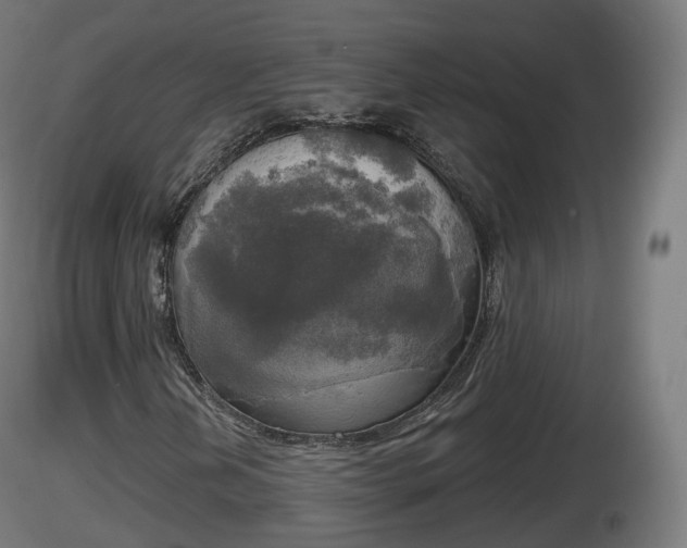 X0000116831202200912241219