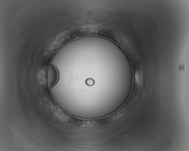 X0000116831203200912241219