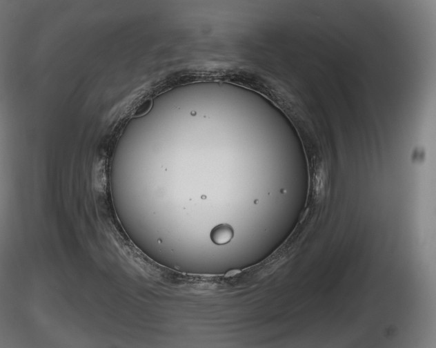 X0000116831204200912241219