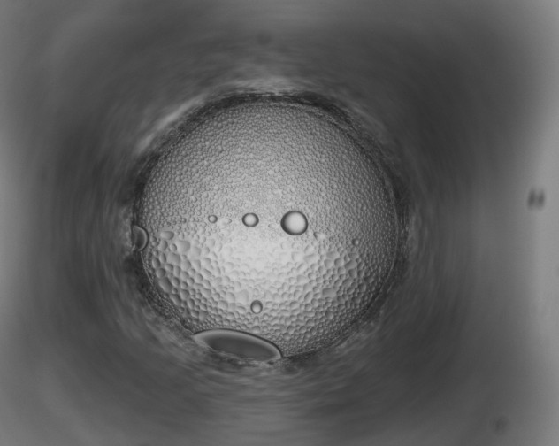 X0000116831205200912241219