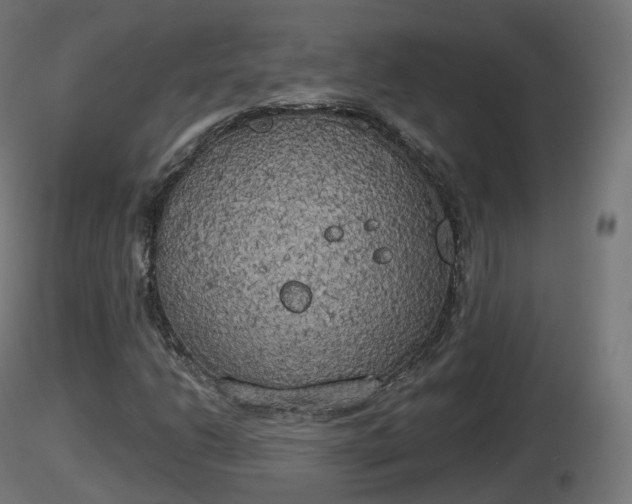 X0000116831206200912241219