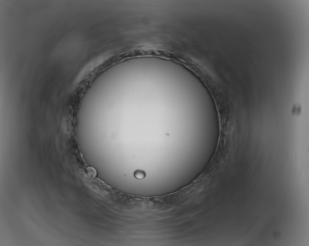 X0000116831207200912241219