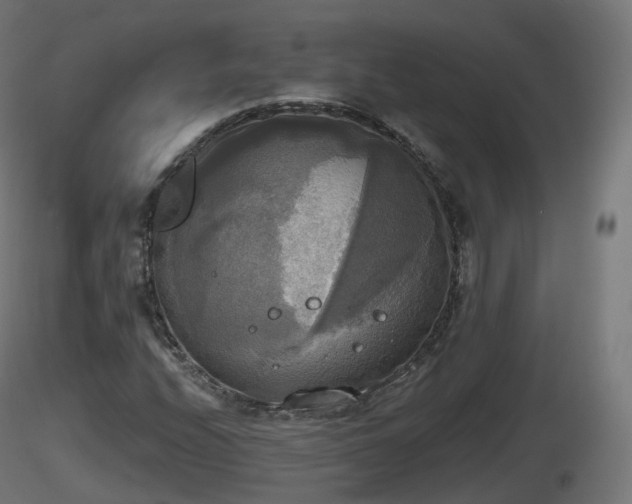 X0000116831208200912241219