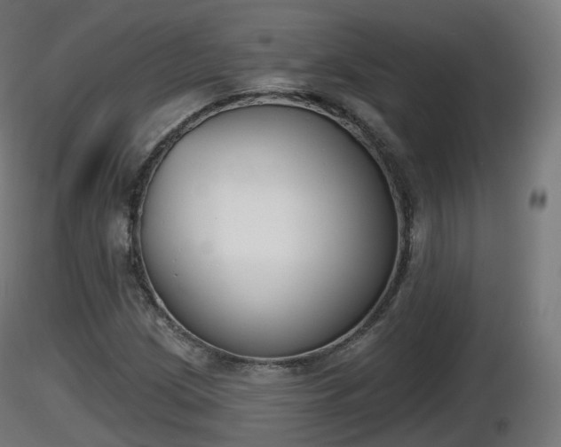 X0000116831209200912241219
