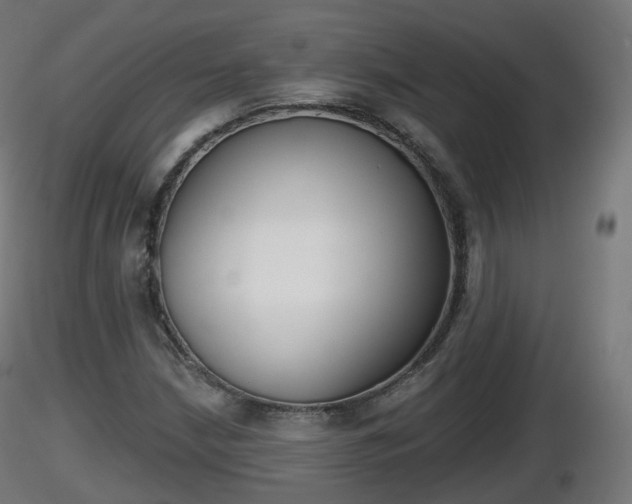 X0000116831210200912241219