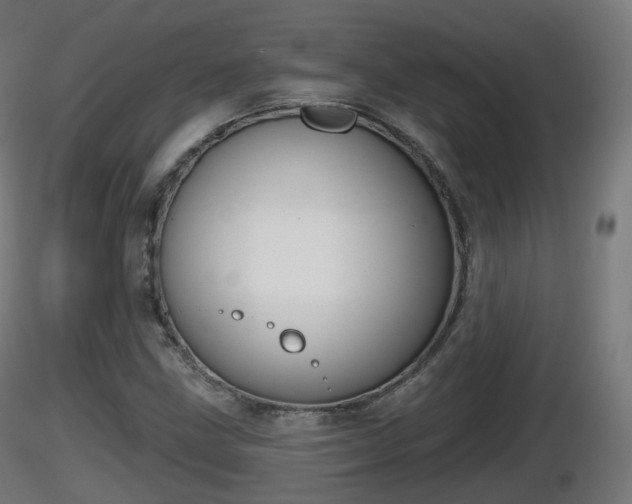 X0000116831211200912241219