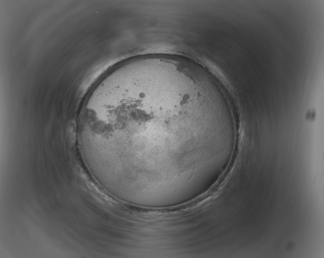 X0000116831212200912241219