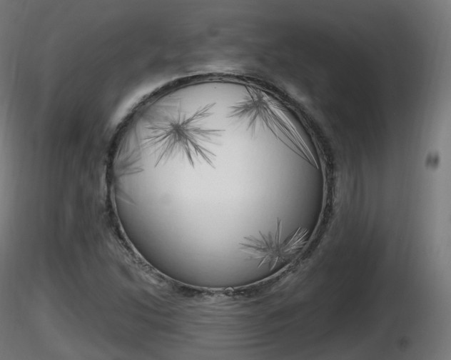 X0000116831214200912241219