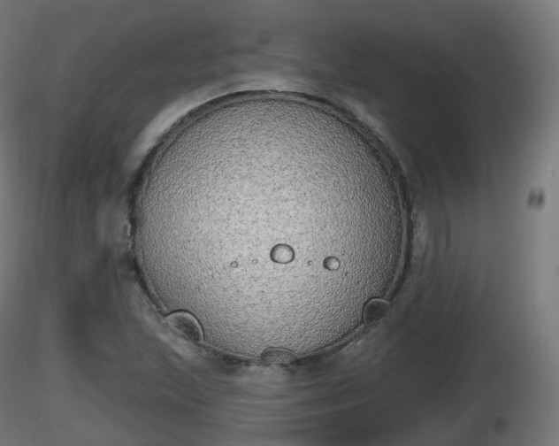 X0000116831215200912241219