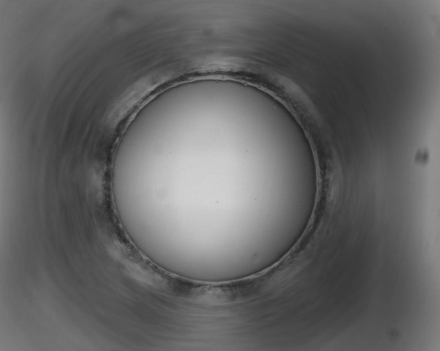 X0000116831217200912241219