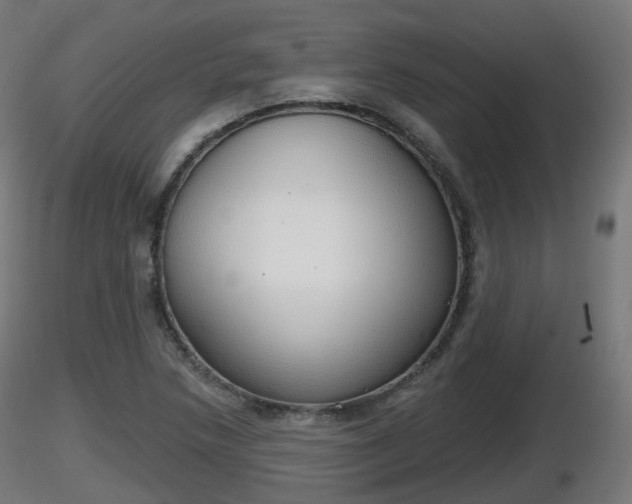 X0000116831218200912241219