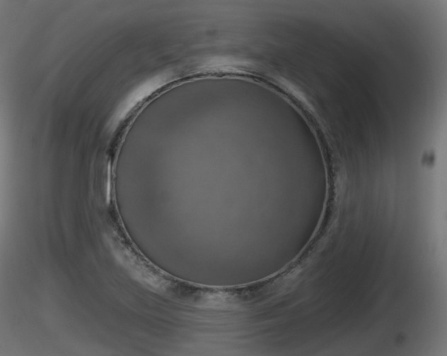 X0000116831219200912241220